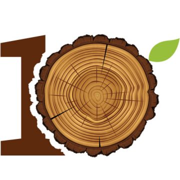 4Graph compie 10 anni, e con lei cresce una foresta.