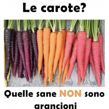 LE CAROTE? QUELLE SANE NON SONO ARANCIONI.