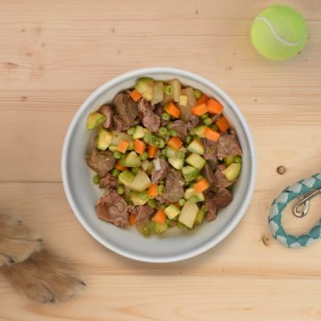 Nasce Verum, la startup che ti porta pet-food fresco ed eco-sostenibile a domicilio