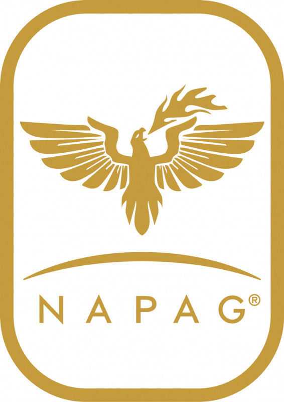 Nota Stampa Gruppo Napag