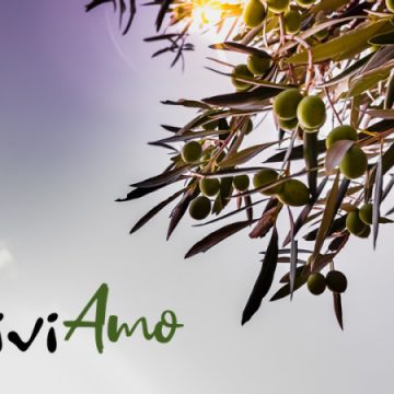 OLIVICOLTURA INNOVATIVA 4.0.  AL VIA LA CAMPAGNA DI EQUITY CROWDFUNDING A SOSTEGNO DEL PROGETTO OLIVIAMO E DELL’ECCELLENZA MADE IN ITALY