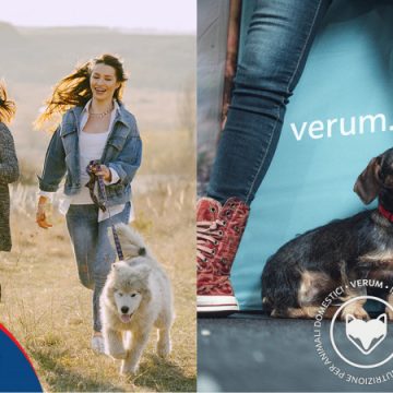 MeetMyPet e Verum si alleano per conquistare i cani italiani