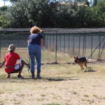 PROGETTO “CAMBIO ROTTA” – LA FONDAZIONE CAVE CANEM ONLUS INVESTE NELLE NUOVE GENERAZIONI E SOSTIENE INTERVENTI SOCIO EDUCATIVI PER DARE AIUTO A  CANI ABBANDONATI E OFFRIRE A GIOVANI COINVOLTI NEL CIRCUITO PENALE MINORILE UNA VIA D’USCITA E UNA NUOVA PROSPETTIVA DI VITA