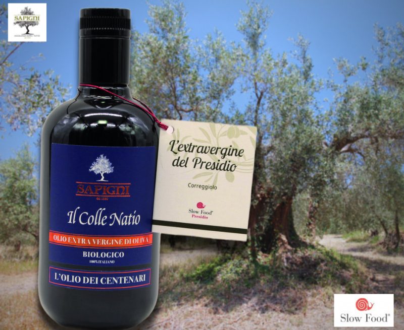 Nasce l’olio extra vergine biologico “Colle natio dei centenari”