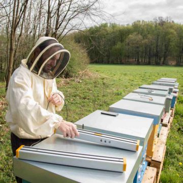 3BEE LANCIA OASI DELLA BIODIVERSITÀ: UN PROGETTO CONTRO IL CAMBIAMENTO CLIMATICO PER RIDARE NETTARE ALLE API