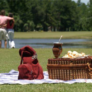 Mate: i segreti dell’oro verde argentino