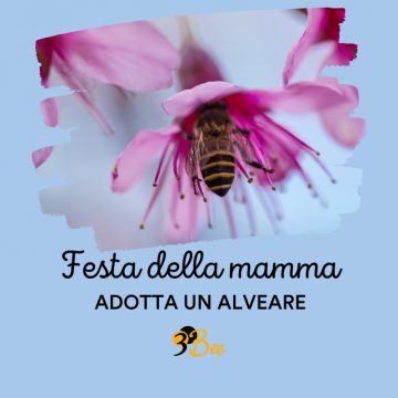 Festa della mamma 2022: le idee regalo di 3Bee per preservare la biodiversità e proteggere le api