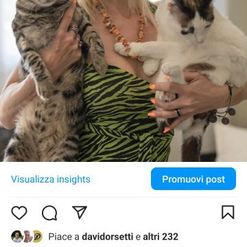 La modella Eva Kisimova, con 300 mila follower viene eletta la “gattara più sexy di Instagram”