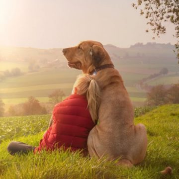 Quattro Zampe in Famiglia, il nuovo motore di ricerca per adottare cani e gatti ospiti di canili, gatti e associazioni di tutta Italia