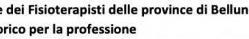 Elezione del primo Ordine dei Fisioterapisti delle province di Belluno Treviso Vicenza e Verona – Un momento storico per la professione