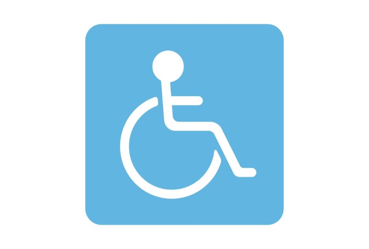 simbolo disabilità