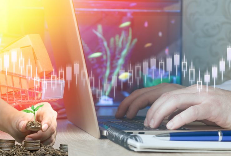 fintech investimenti