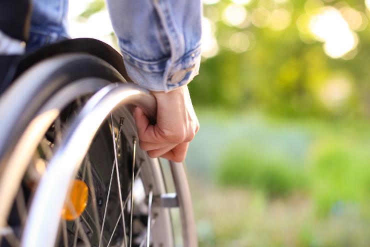 disabile