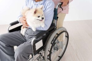 disabile con accompgnatore